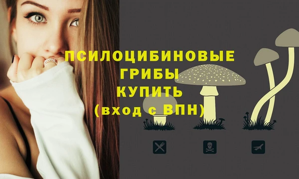 гашиш Новодвинск