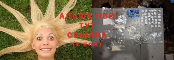 спиды Белая Холуница