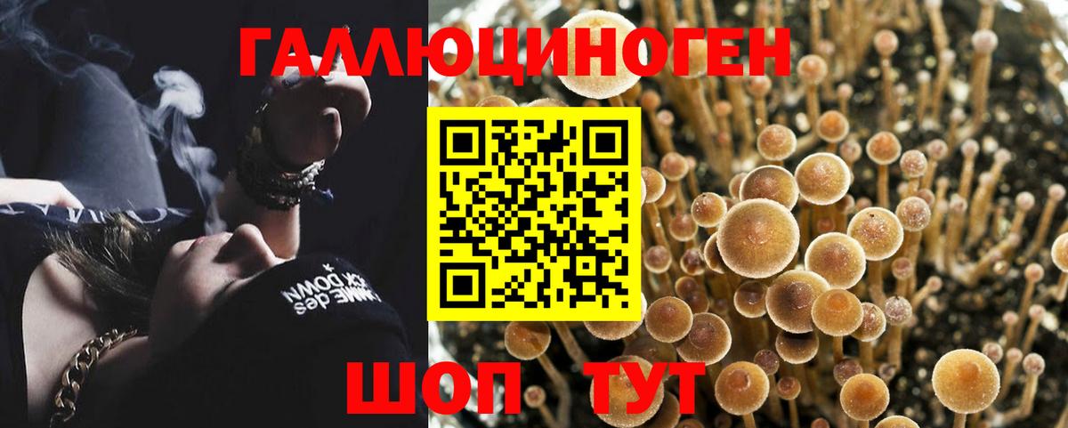 Екатеринбург  Галлюциногенные грибы мухоморы  где купить наркоту  Вход с VPN 